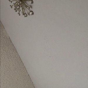 Meet your Posher, Cori